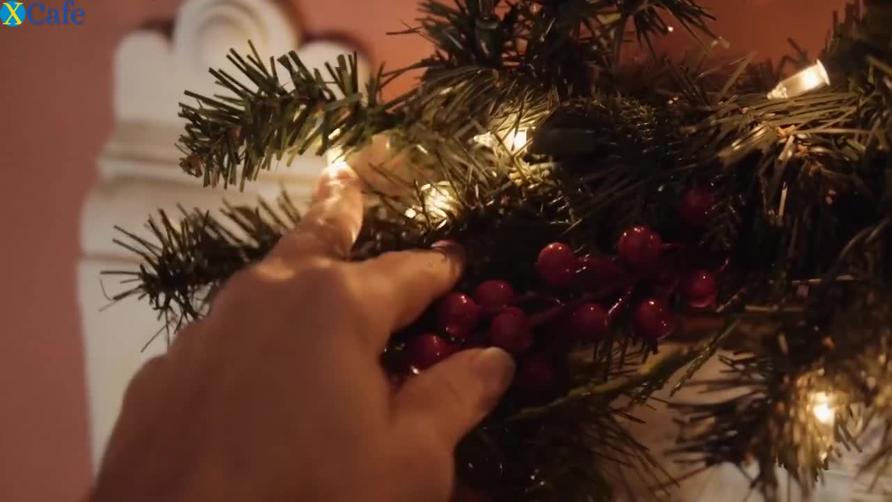 Watch It's Christmas, so I suck him good under the Christmas tree Free Porn Videos | ePornRest.