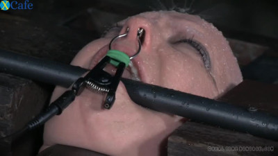 Bald white slut Abigail Dupree is a queen of hard BDSM sessions