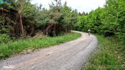 We rode on bikes to the deepest part of the forest to have sex between the trees