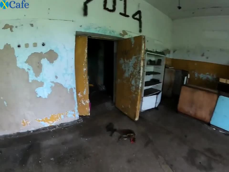 Watch She dragged me into an abandoned building and sucked my dick Free Porn Videos | ePornRest.